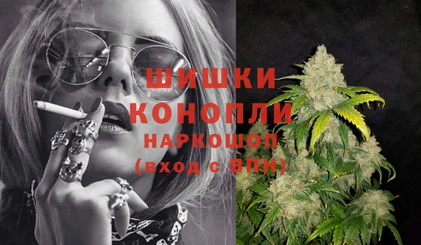 шишки Алексин