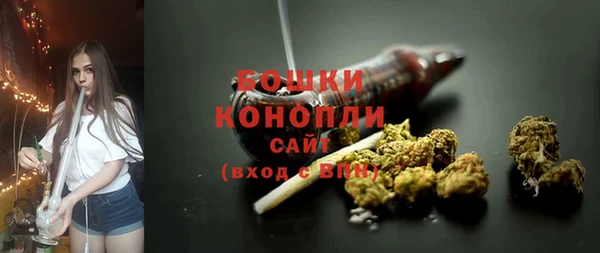 амф Новозыбков