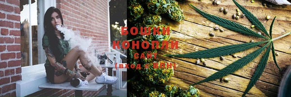 не бодяженный Новодвинск