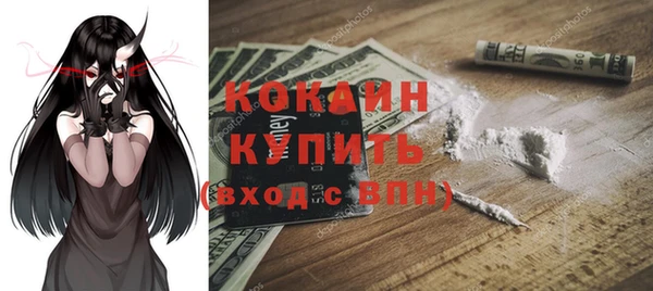 шишки Алексин