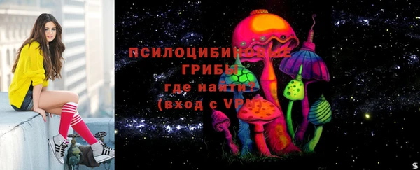 кокс Нея