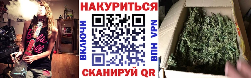 купить наркотик  hydra ссылка  Марихуана семена  Орлов 